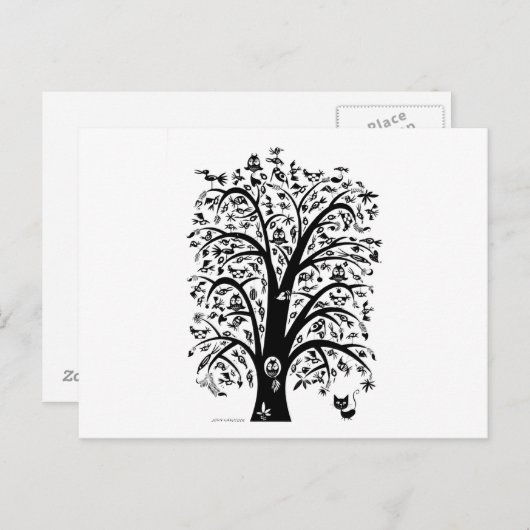 Cat's droom briefkaart (Voorkant / Achterkant)