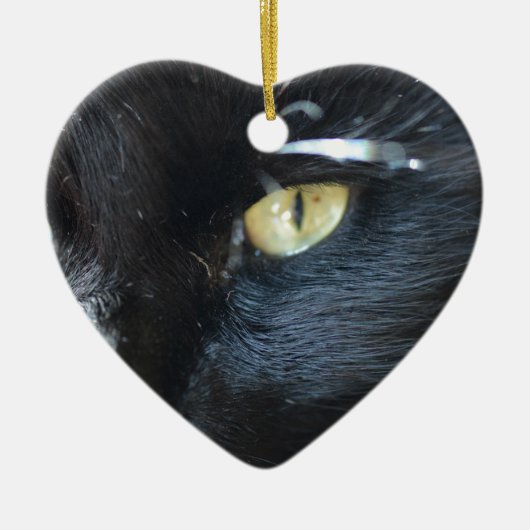 Cat's eet je keramisch ornament (Voorkant)