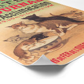 Cats Exposition Advertisement Vintage Poster (Hoek)