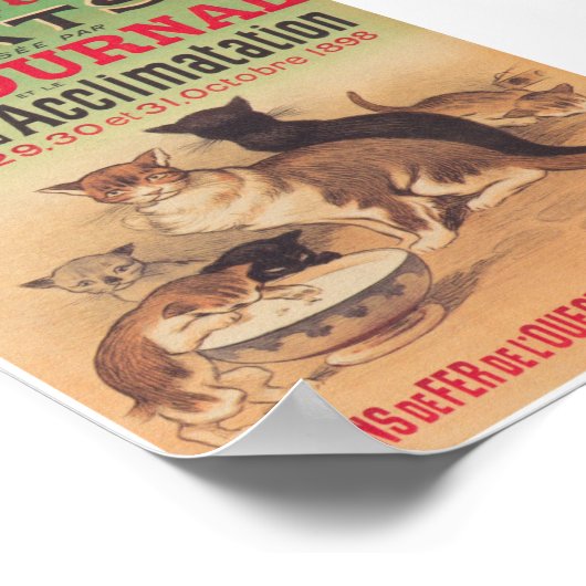 Cats Exposition Advertisement Vintage Poster (Hoek)