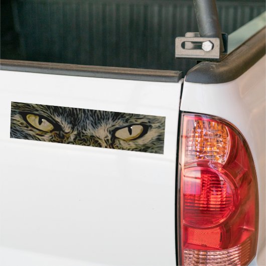 Cat's Eyes Bumpersticker (Op Truck)