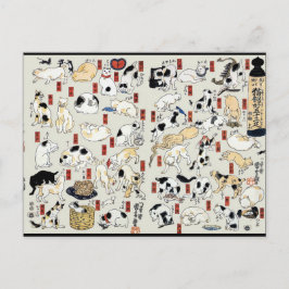 Cats Galore Briefkaart