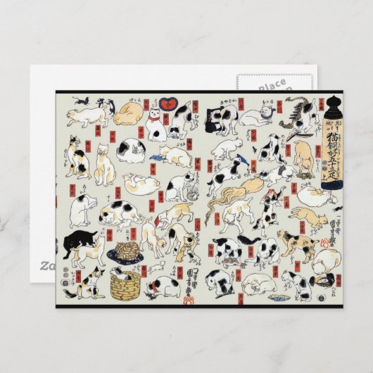 Cats Galore Briefkaart (Voorkant / Achterkant)