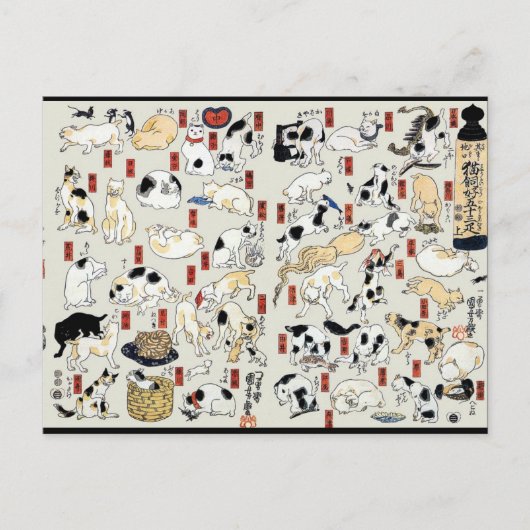 Cats Galore Briefkaart (Voorkant)