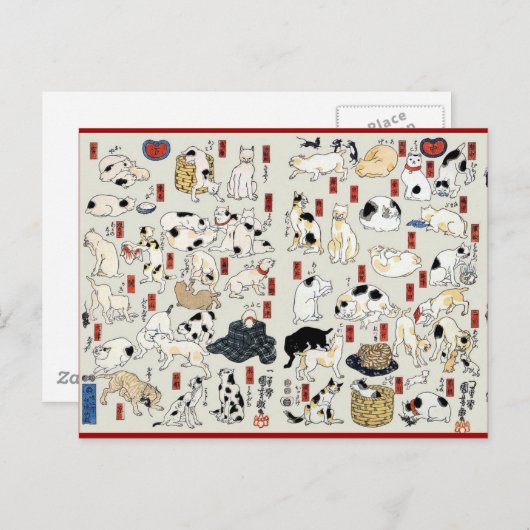 Cats Galore Briefkaart (Voorkant / Achterkant)