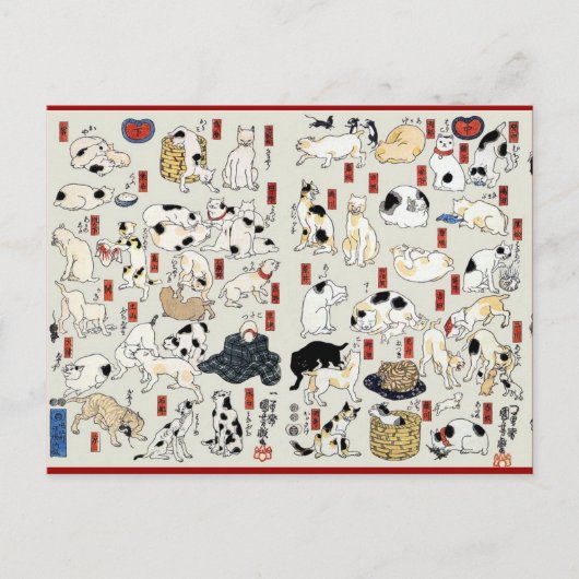 Cats Galore Briefkaart (Voorkant)