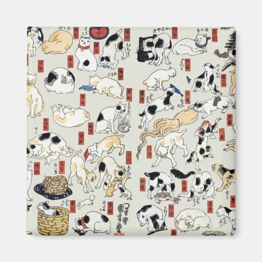 Cats Galore Magneet (Voorkant)