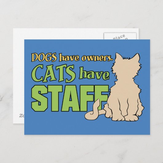 CATS HEBBEN BRIEFKAART VAN PERSONEEL (Voorkant / Achterkant)