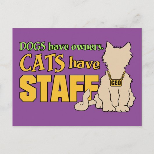 CATS HEBBEN BRIEFKAART VAN PERSONEEL (Voorkant)