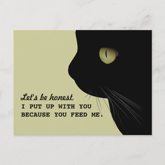 Cats Honest Attitude Funny Briefkaart (Voorkant)