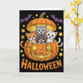 Cats In Pumpkin Cute Halloween Kitties Funny  Kaart (Gele Bloem)