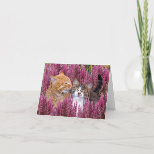 "Cats in the Heather" Opmerking Kaart