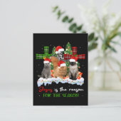 Cats Jesus is de reden voor het kerstfeest.. Briefkaart (Staand voorkant)