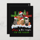 Cats Jesus is de reden voor het kerstfeest.. Briefkaart (Voorkant / Achterkant)
