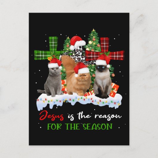 Cats Jesus is de reden voor het kerstfeest.. Briefkaart (Voorkant)