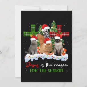 Cats Jesus is de reden voor het kerstfeest.. Kaart