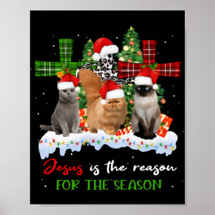 Cats Jesus is de reden voor het kerstfeest.. Poster