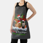 Cats Jesus Is Reason For The Season Christmas Ugly Schort (Insitu)