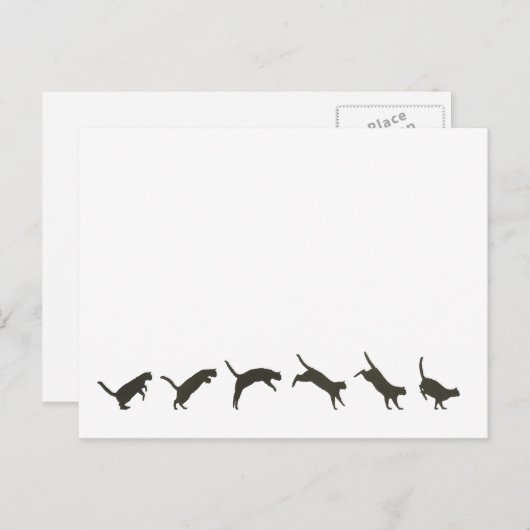 Cats Jumping Briefkaart (Voorkant / Achterkant)