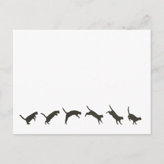 Cats Jumping Briefkaart