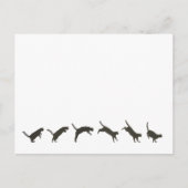 Cats Jumping Briefkaart (Voorkant)