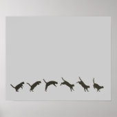 Cats Jumping Poster (Voorkant)
