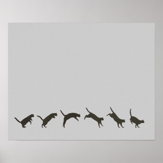 Cats Jumping Poster (Voorkant)