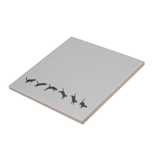 Cats Jumping Tegeltje (Zijkant)