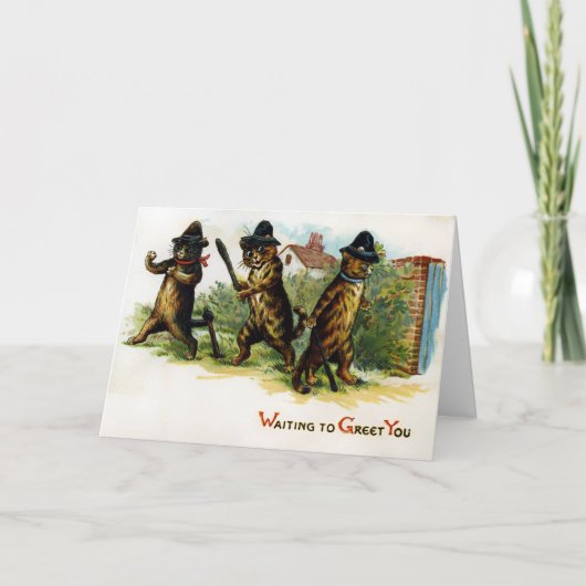  Cats Kaart (Voorkant)