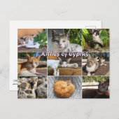 Cats katten van Cyprus briefkaart (Voorkant / Achterkant)