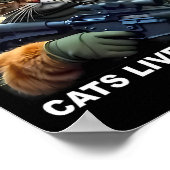 Cats Lives Problem Grappig Trump 2024 Kat Poster (Hoek)