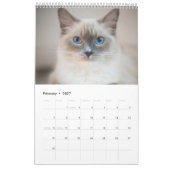 Cats lover-agenda kalender (Feb 2027)