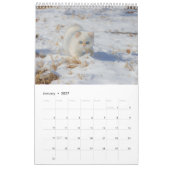 Cats lover-agenda kalender (Jan 2027)