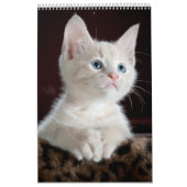 Cats lover-agenda kalender (Hoes)