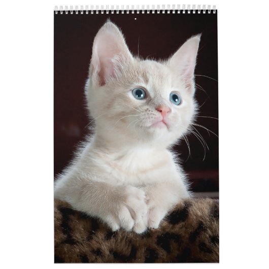 Cats lover-agenda kalender (Hoes)