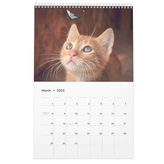 Cats lover-agenda kalender (Mar 2026)