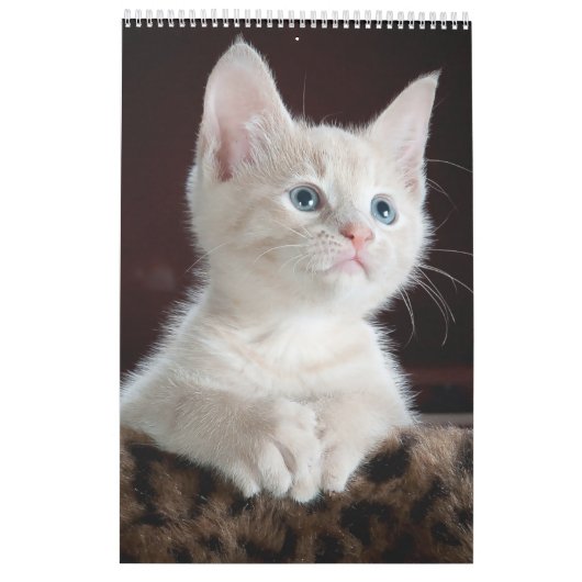 Cats lover-agenda kalender (Achterkant)