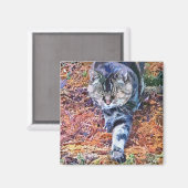 CATS MAGNEET (Voorkant / Achterkant)