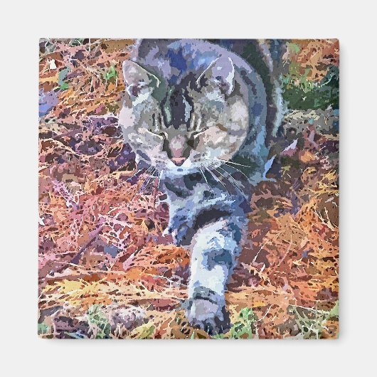 CATS MAGNEET (Voorkant)