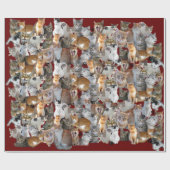 Cats meeting point cadeaupapier (Vlak)