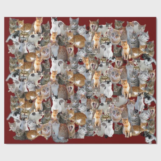 Cats meeting point cadeaupapier (Vlak)