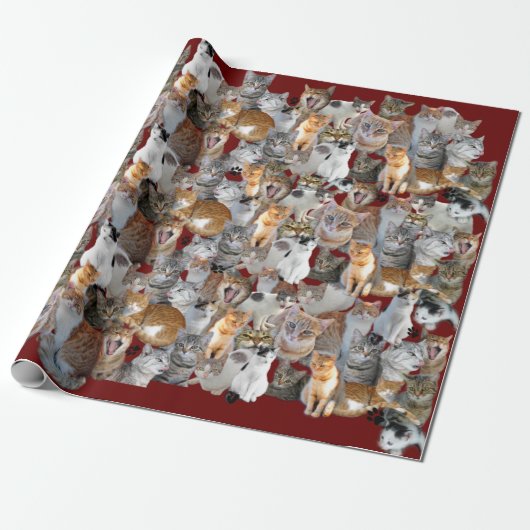 Cats meeting point cadeaupapier (Uitgerold)