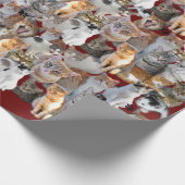 Cats meeting point cadeaupapier (Hoek)