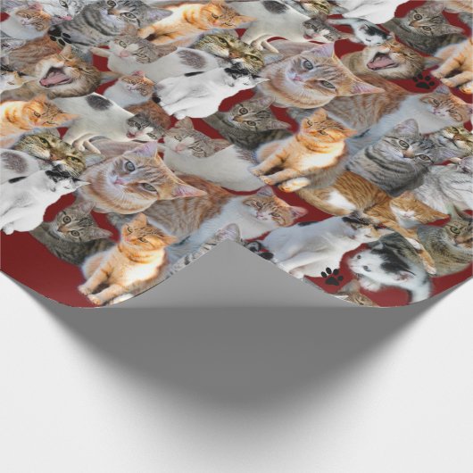 Cats meeting point cadeaupapier (Hoek)