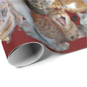 Cats meeting point cadeaupapier (Rol Hoek)