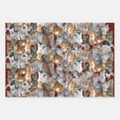 Cats meeting point - collage inpakpapier vel (Voorkant)