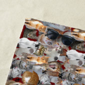 Cats meeting point strandlaken (In situ)