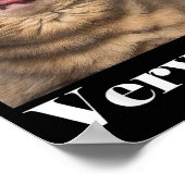 Cats Meme Graphic Silly Cat Humor Funny Cat Very C Poster (Hoek)