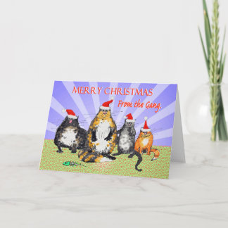 Cats, merry Christmas from the bende, humor Feestdagen Kaart