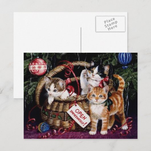  Cat's Merry Christmas Post Kaart (Voorkant / Achterkant)